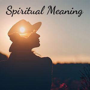 Spiritual Meaning