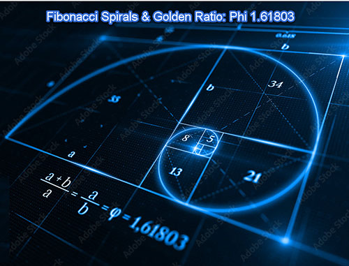 Fibonacci Spirals