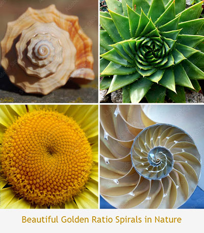 Golden Ratio Spirals