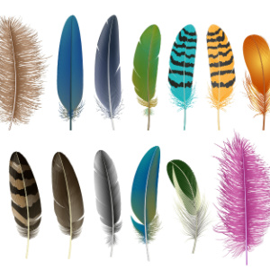 Feather Meanings: How Angels And The Universe Speak To Us by Psychic Arthur